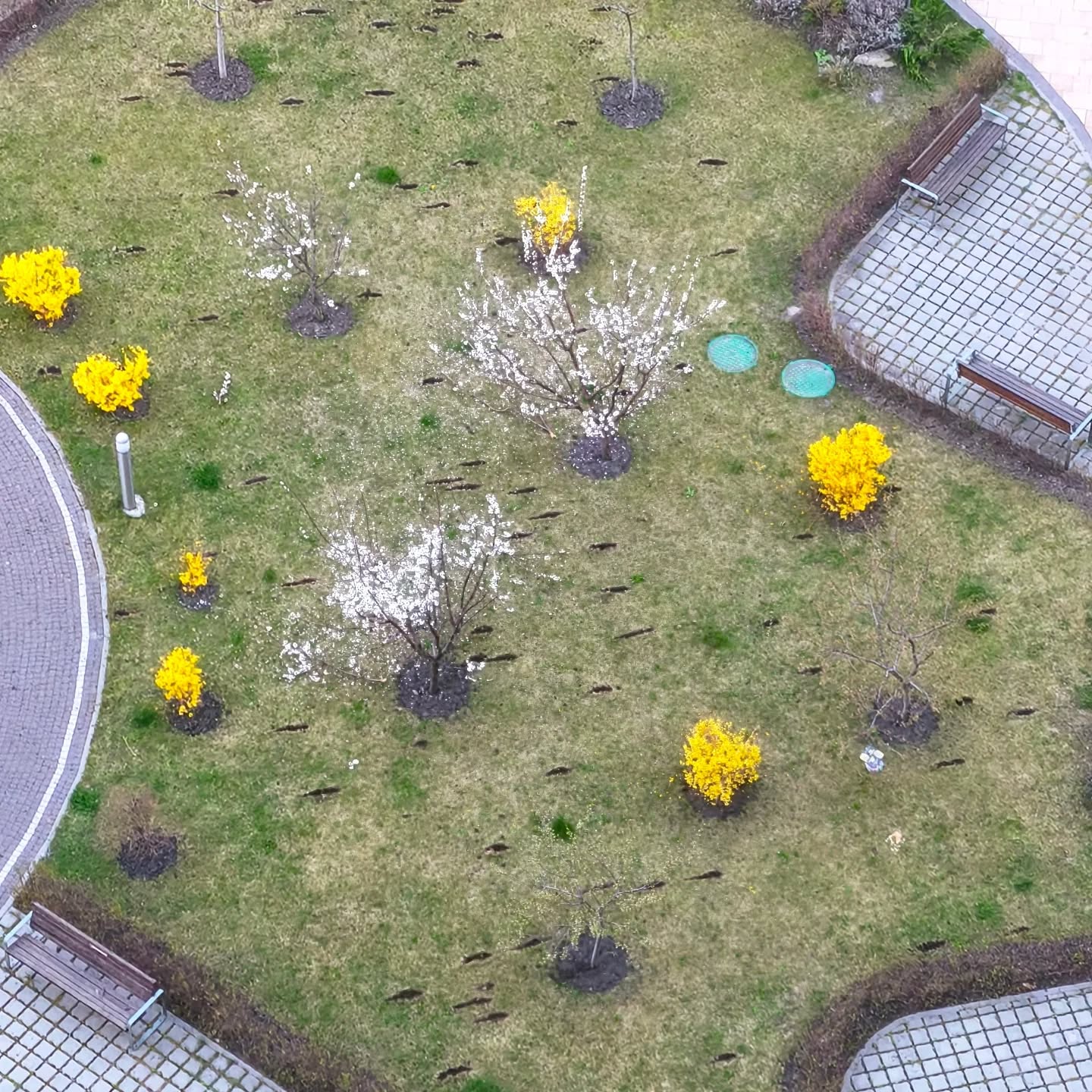 Aftermath of the Russian attack on April 16 in Kyiv.  The complex's yard is covered in 30-40 cm craters from submunitions that exploded upon impact. They appear as horizontal lines in the photo, near blooming trees.  Photo credit: Liudmyla Lohush