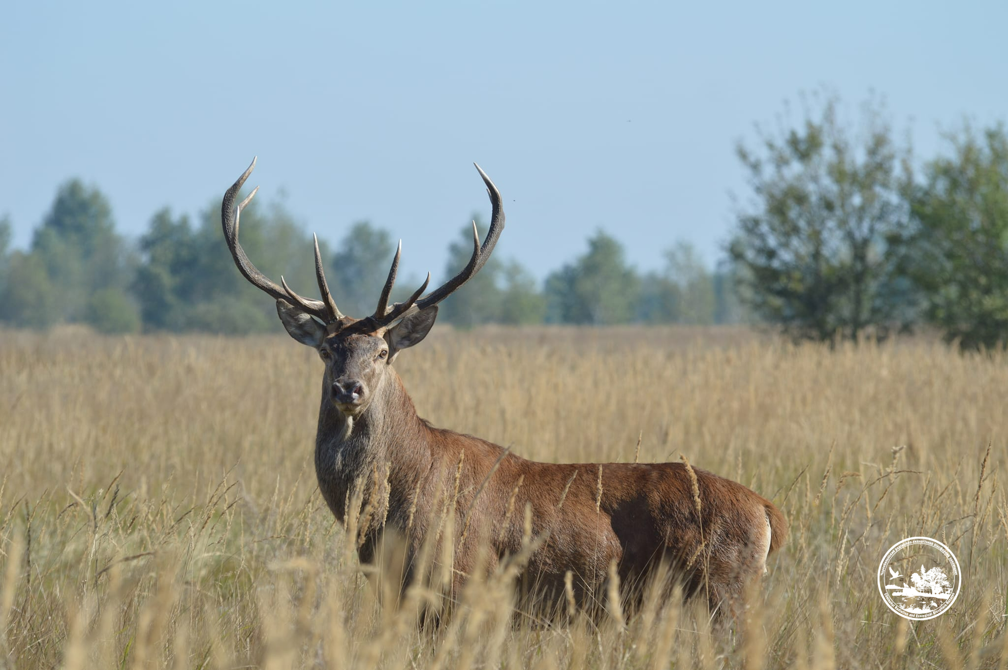 Photo credit: Chornobyl Radiation and Ecological Biosphere Reserve