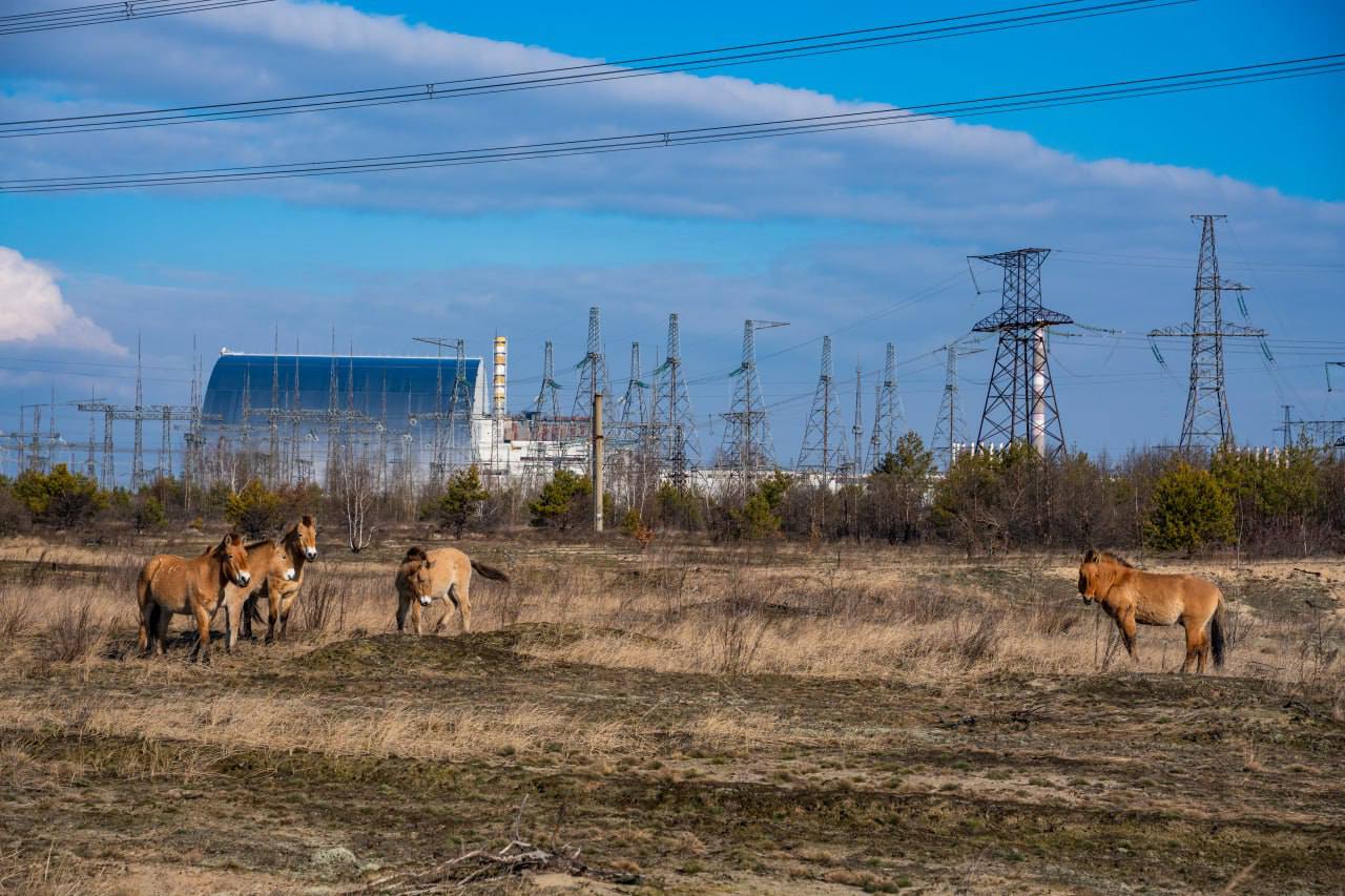 Photo credit: State Agency of Ukraine for the Management of the Exclusion Zone.