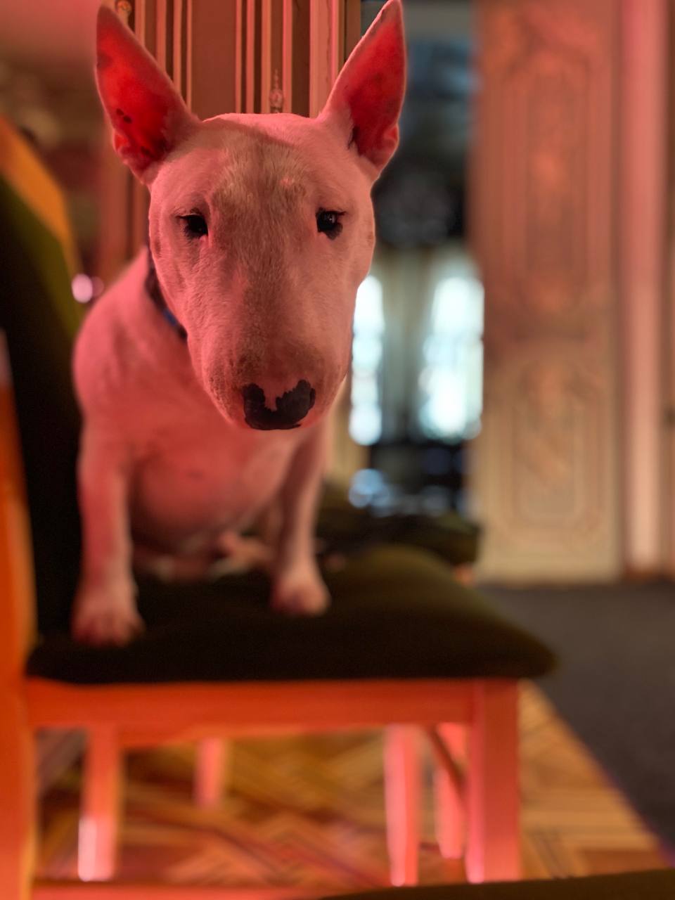 Photo credit: Euphoria School