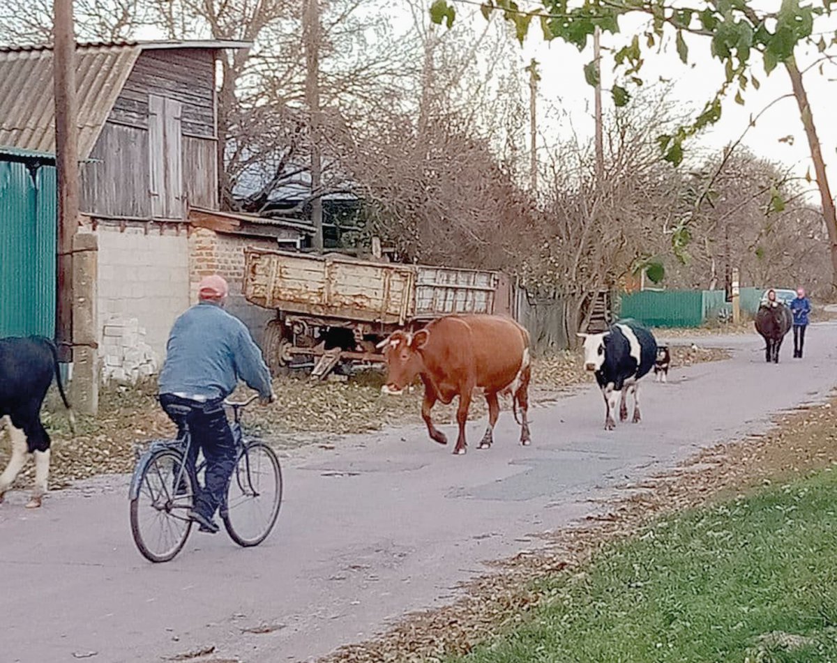 El pueblo de Klochkiv. Foto de Gazeta.ua