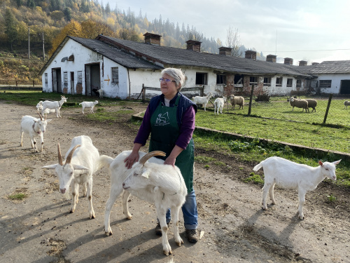Two Women Start A Farm After Losing Their Homes